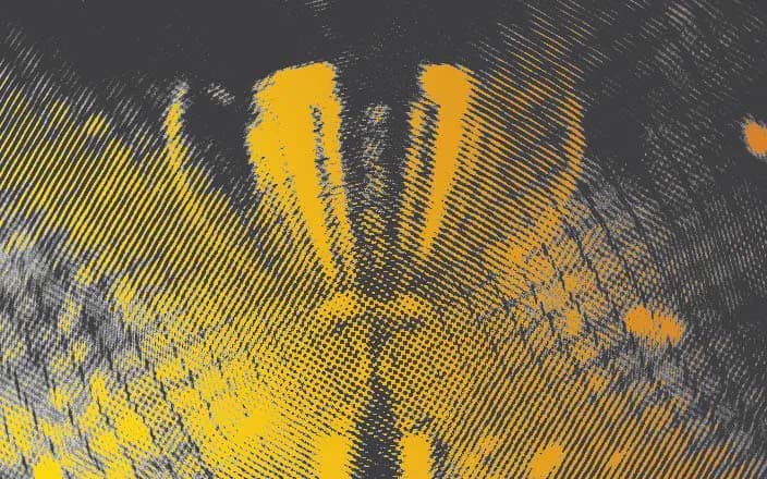 Successful strategies image